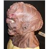 Image 2 : STAR TREK DISCOVERY BLOODY KLINGON SILICONE MASK SCREEN USED 1
