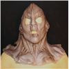 Image 1 : STAR TREK DISCOVERY HOUSE OF D'GHOR KLINGON SILICONE MASK SCREEN USED 2