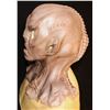 Image 2 : STAR TREK DISCOVERY HOUSE OF D'GHOR KLINGON SILICONE MASK SCREEN USED 2