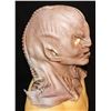 Image 3 : STAR TREK DISCOVERY HOUSE OF D'GHOR KLINGON SILICONE MASK SCREEN USED 2