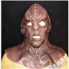Image 1 : STAR TREK DISCOVERY HOUSE OF D'GHOR KLINGON SILICONE MASK SCREEN USED 1