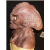 Image 2 : STAR TREK DISCOVERY HOUSE OF D'GHOR KLINGON SILICONE MASK SCREEN USED 1