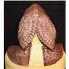 Image 4 : STAR TREK DISCOVERY HOUSE OF D'GHOR KLINGON SILICONE MASK SCREEN USED 1