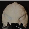 Image 1 : STAR TREK DISCOVERY KLINGON HELMET ARMOR MASTER CASTING