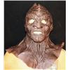 Image 1 : STAR TREK DISCOVERY UJILLI KLINGON SILICONE MASK SCREEN USED 2