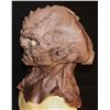 Image 2 : STAR TREK DISCOVERY UJILLI KLINGON SILICONE MASK SCREEN USED 2
