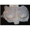 Image 2 : STAR TREK DISCOVERY L'RELL BREASTS CHEST CLEAVAGE B