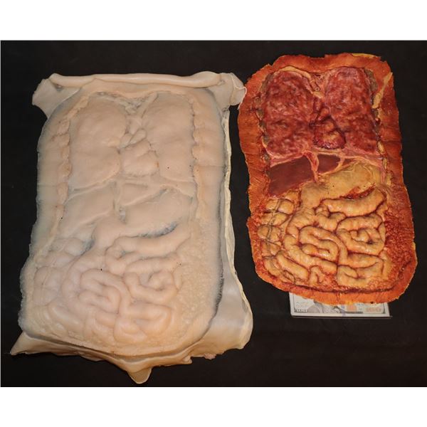 AUTOPSY TORSO SILICONE & FOAM GUTS APPLIANCE LOT OF 2