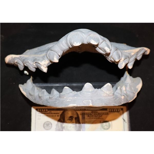 DINOSAURS GRANDMA ETHYL FALSE TEETH HINGED UNUSED