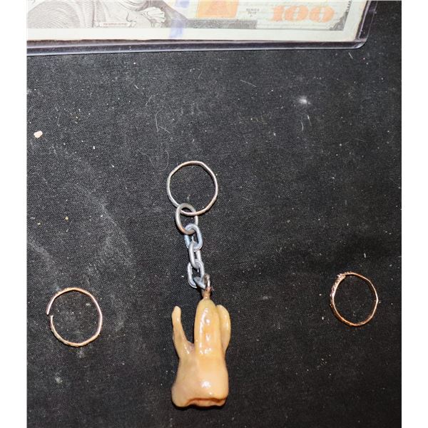 DINOSAUS CHARLENE EARRINGS SCREEN USED