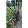 Image 5 : Antique Steel Hay Rake with Large Spoked Wheels