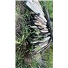 Image 4 : Treated Wood Fence Posts, 7 Foot Length