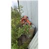 Image 7 : Farmyard Salvage With Feedlot Tine Fork Attachment