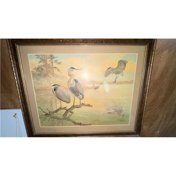 Allan Brooks 1936 Framed Print of Herons