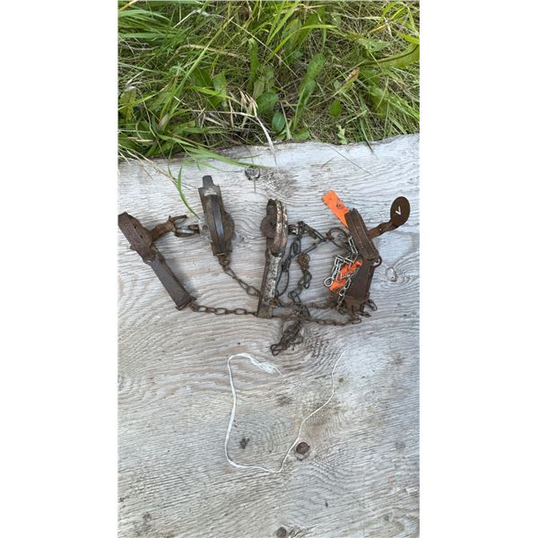 Three Vintage Steel Animal Traps with Chains