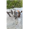 Image 1 : Three Vintage Steel Animal Traps with Chains