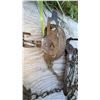 Image 3 : Three Vintage Steel Animal Traps with Chains