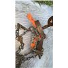Image 5 : Three Vintage Steel Animal Traps with Chains