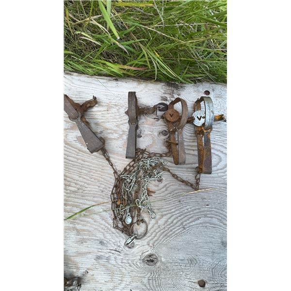 3 Oneida Victor No. 3 Steel Animal Traps