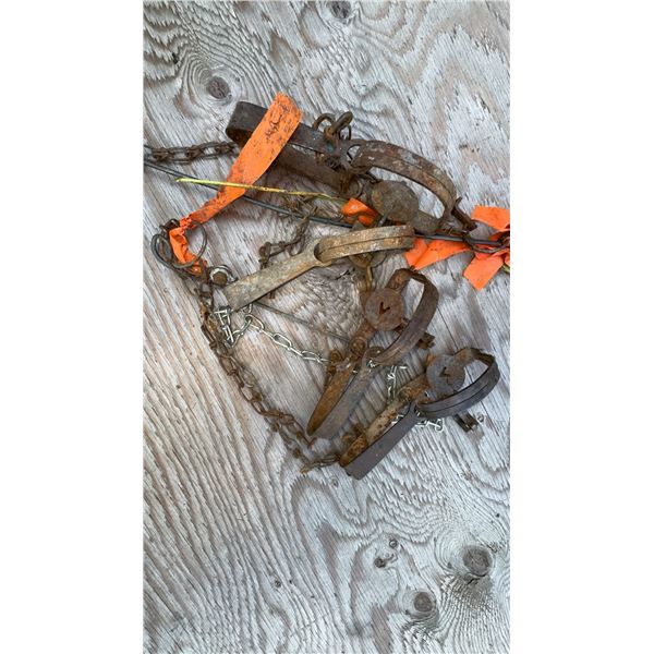 Three Vintage Animal Traps with Chains