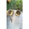 Image 1 : Steel Animal Traps with Wooden Boxes