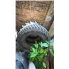 Image 5 : Used Tires, Rims, Scrap Lumber, and Red Tool Cabinet