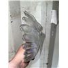 Image 3 : Iridescent Clear Glass Shell-Shaped Dish