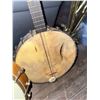 Image 3 : 4-String Banjos, One with Hand-Drawn Artwork