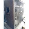 Image 8 : Peavey 115 International Series III Black Widow PA Speaker Cabinet