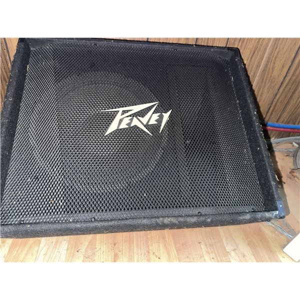 Peavey Speaker Cabinet with Grille and Damaged Front Cover