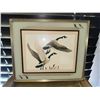 Image 2 : Framed Print of Two Canada Geese in Flight