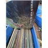 Image 5 : Vinyl Record LP Collection in Blue Storage Bin