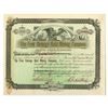 Image 1 : CO. Free Coinage Gold Mining Co., 1892, I/C Stock Certificate.