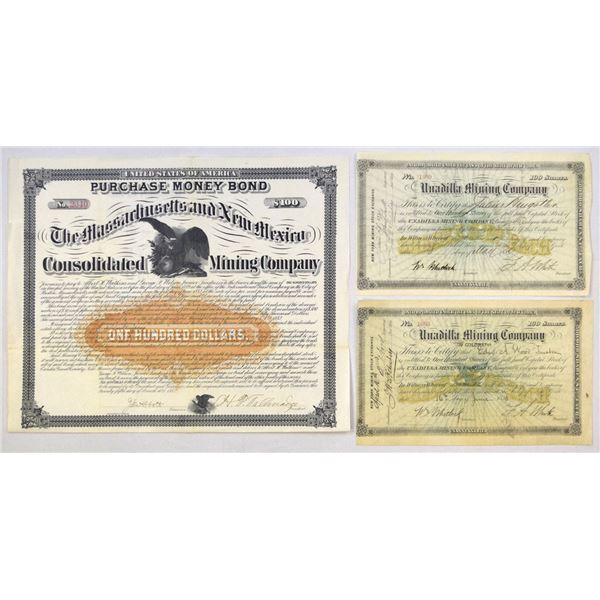 CO. AZ., Unadilla Mining & Massachusetts and New Mexico Consolidated Mining Co., 1880 to 1882, I/U T