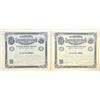Image 1 : Mexico. Compania de las Mineas de Oro Cerro Colorado, 1893, I/U Stock Pair.