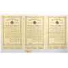 Image 1 : WV. Santa Lucia Mining and Milling Co., 1894, I/U Bond Trio.