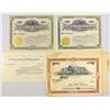 Image 1 : CA. CO., Mining Stock Certificate Assortment, 1890s to 1919