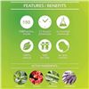 Image 10 : 6 Packs (150pcs Each) Daily Bug Shield Natural Patches for Repelling Mosquitos/Insects/Bugs - New