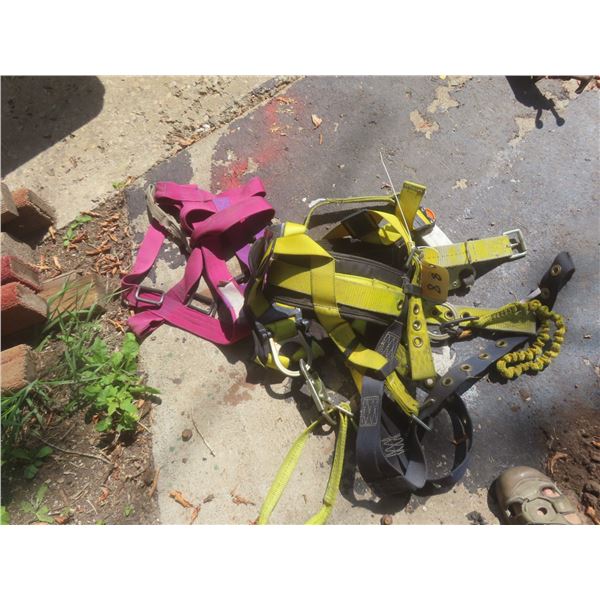 2 Safety Harnesses