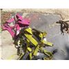 Image 3 : 2 Safety Harnesses
