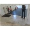 Image 2 : Mylar 4' x 8' Mirror