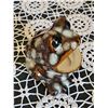 Image 1 : Ceramic Frog Sponge Holder