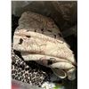 Image 2 : Brand Name Plus Sized Clothing Lot 2X-3X Ladies