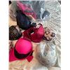 Image 3 : Voglo and Assorted Bras, Size 46DD and Others