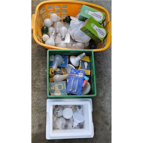 Light Bulbs and Accessories
