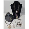 Image 1 : Costume Jewellery Necklaces and Brooches Lot
