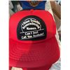Image 9 : Humorous Graphic and Slogan Trucker Hats (11 Pieces)