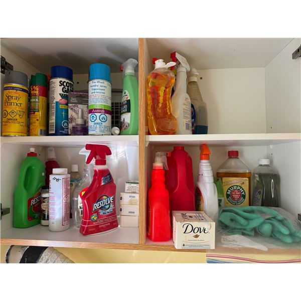 Cleaning Supplies, Paper Goods, Towels, and Soap Lot