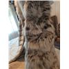 Image 6 : Aem Hurtig Full Length Fur Coat