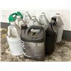 Image 3 : L2 - Group of Commercial Disinfectant & Auto Detailing Chemicals